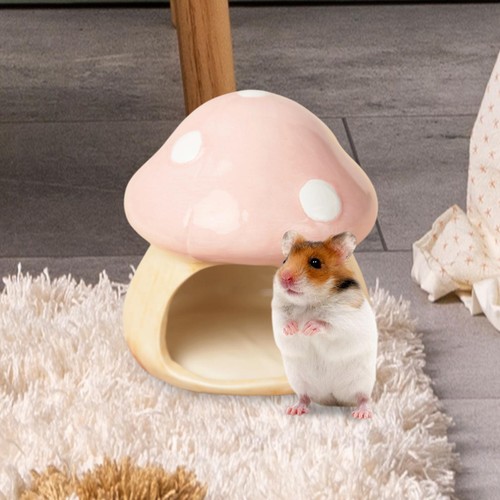 Hamsterhaus keramikhaus - hamsterhaus,